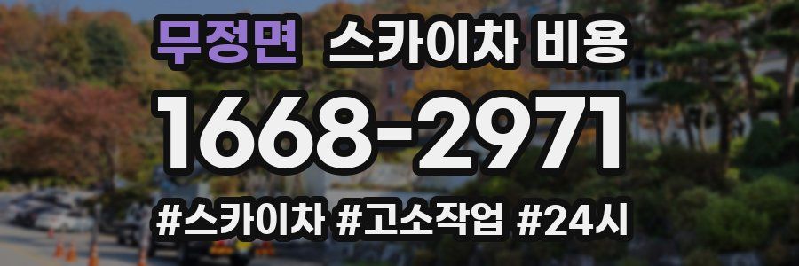 무정면 스카이차 비용