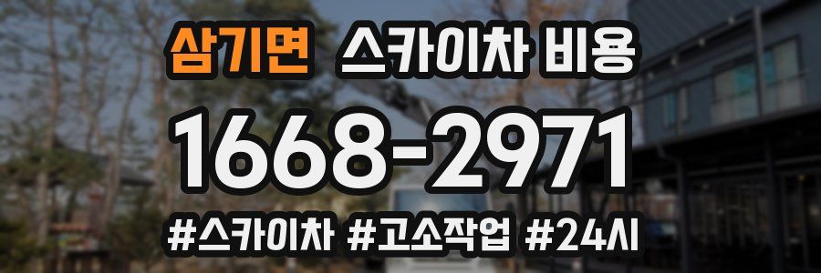 삼기면 스카이차 비용