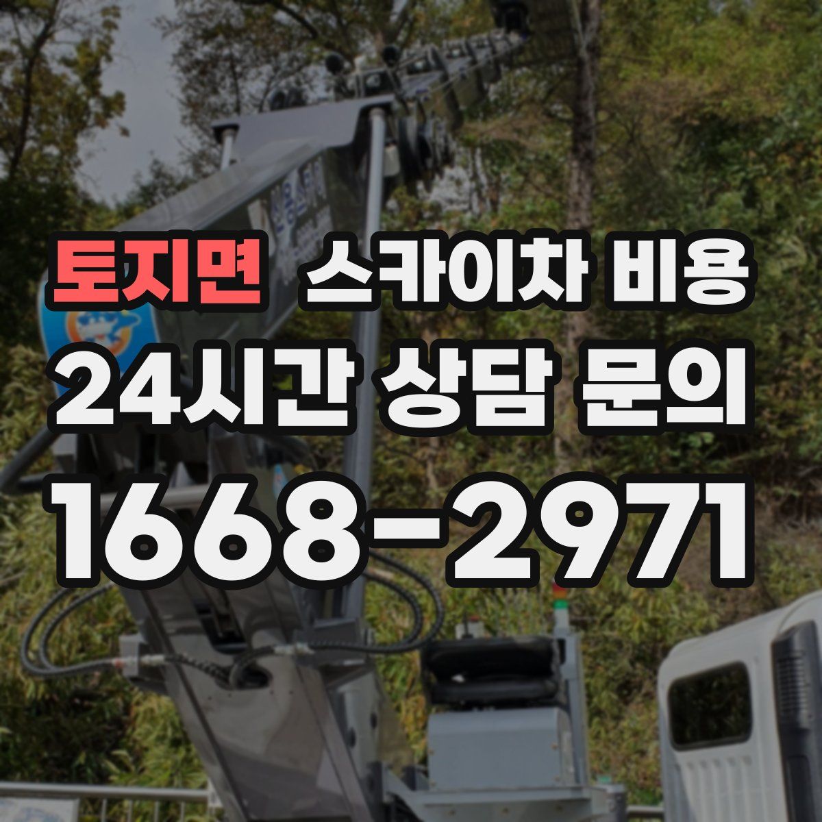 토지면 스카이차 비용