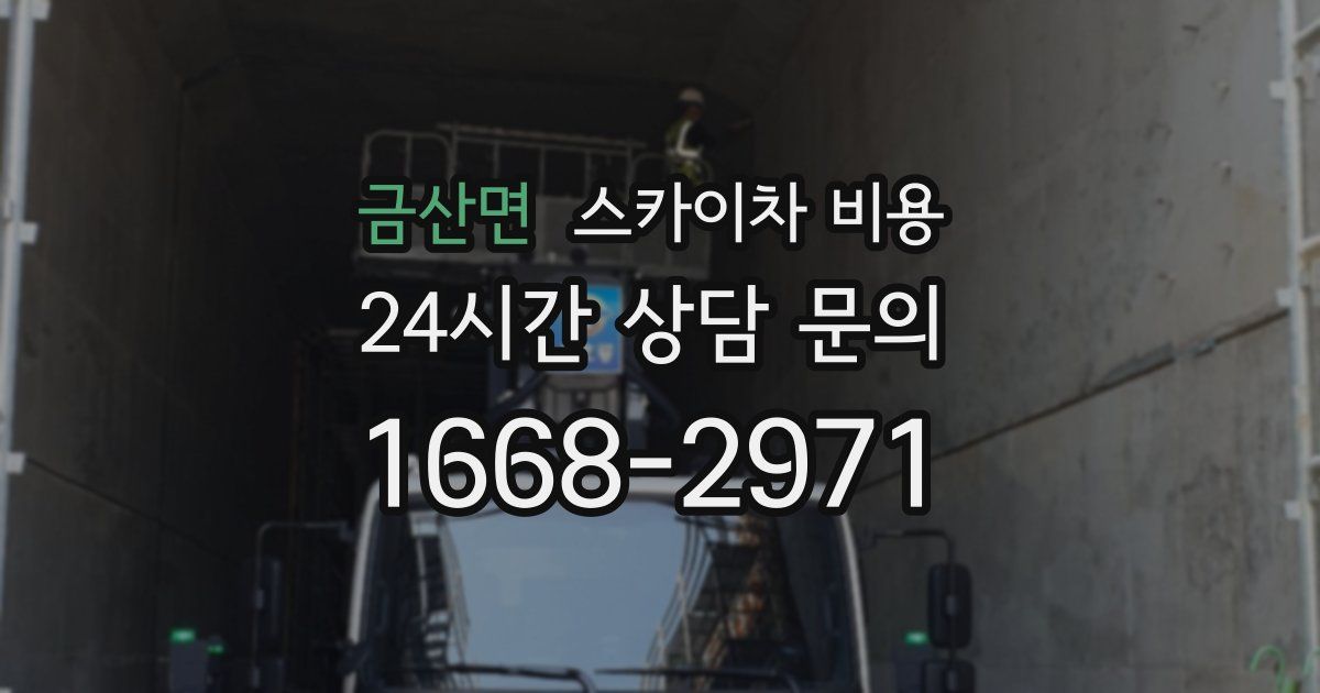 금산면 스카이차 비용