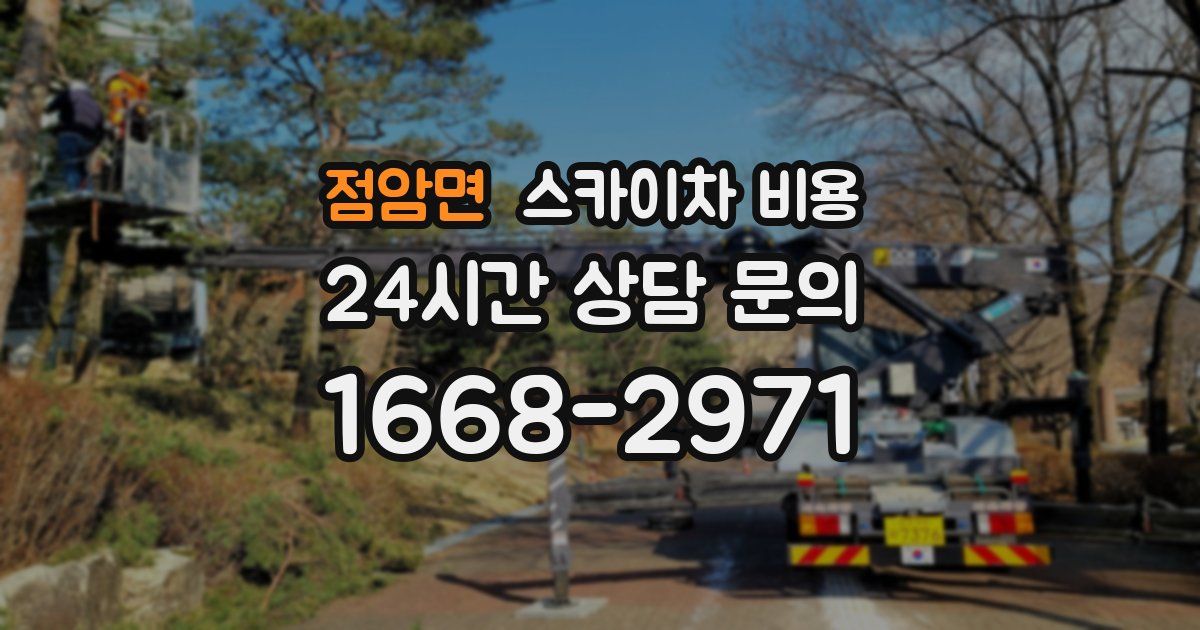 점암면 스카이차 비용
