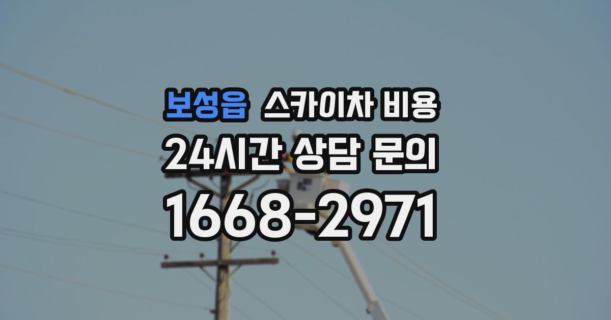 보성읍 스카이차 비용