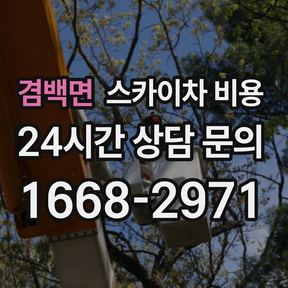 겸백면 스카이차 비용