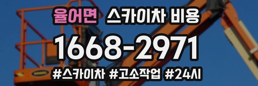 율어면 스카이차 비용