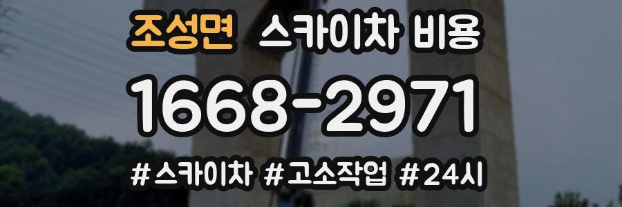 조성면 스카이차 비용