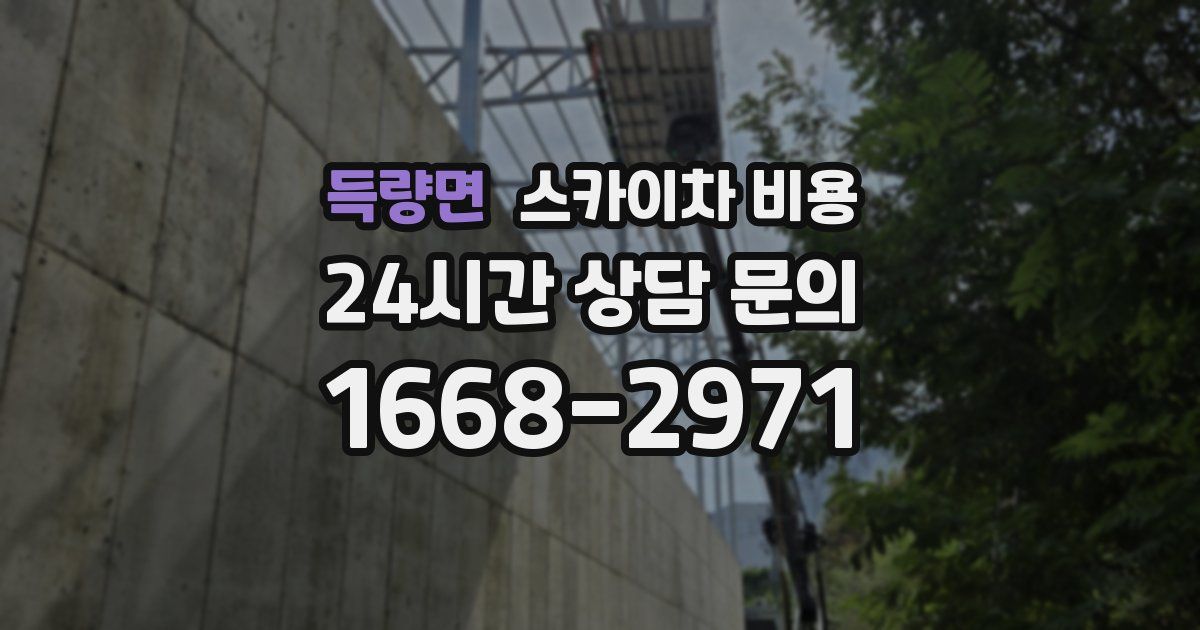 득량면 스카이차 비용