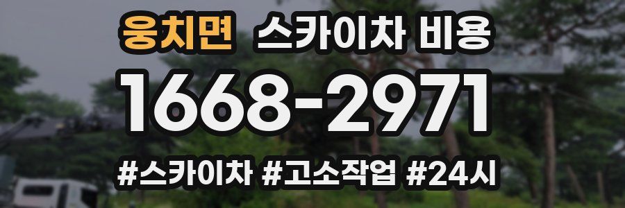 웅치면 스카이차 비용