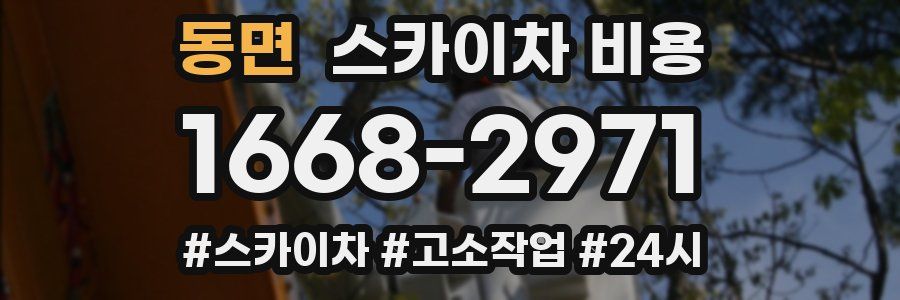 동면 스카이차 비용