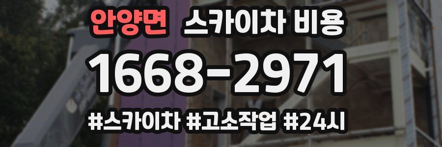 안양면 스카이차 비용