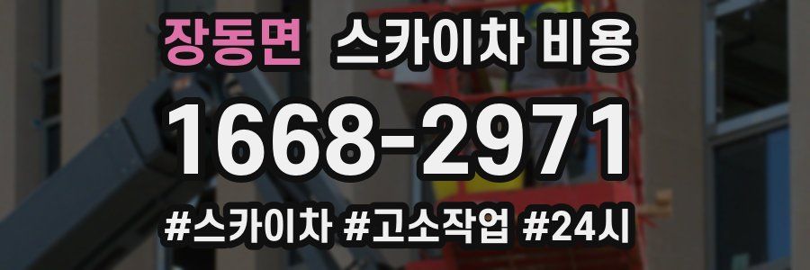 장동면 스카이차 비용