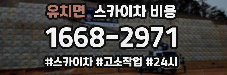 유치면 스카이차 비용