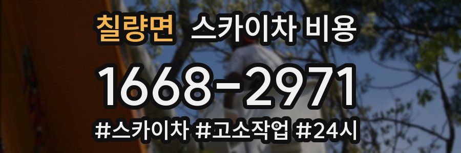 칠량면 스카이차 비용