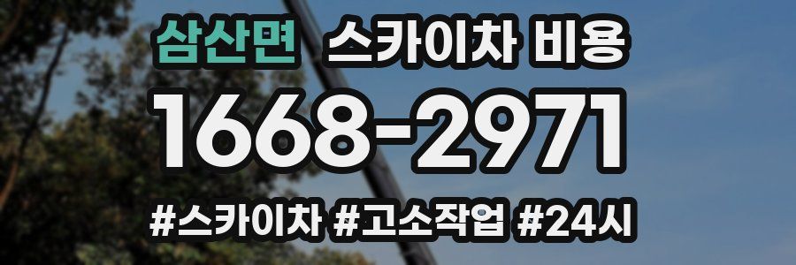 삼산면 스카이차 비용