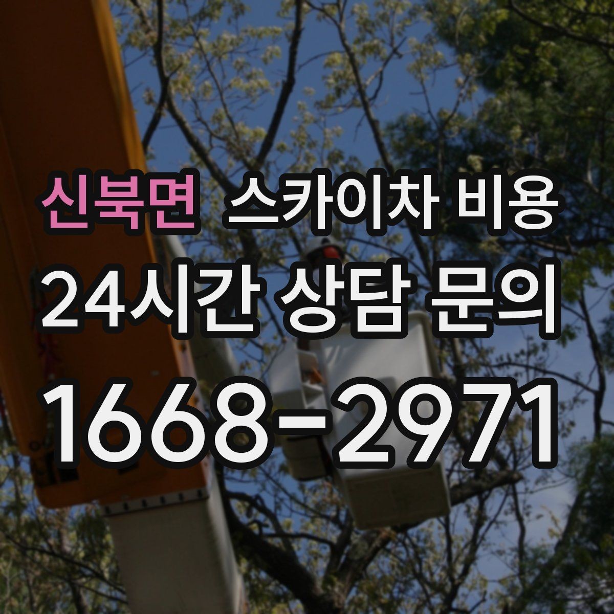 신북면 스카이차 비용 단시간 작업과 반나절 작업의 차이