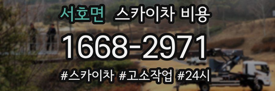 서호면 스카이차 비용
