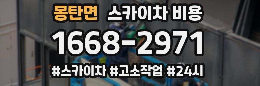 몽탄면 스카이차 비용