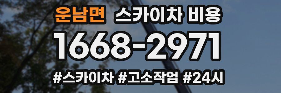 운남면 스카이차 비용