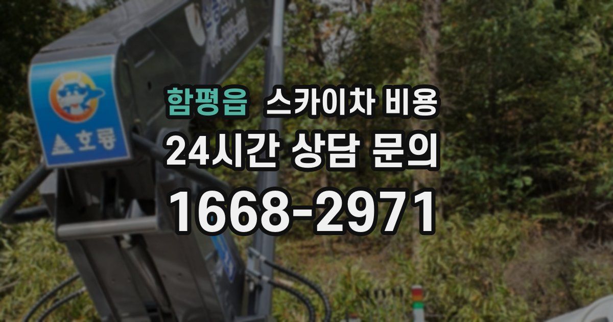 함평읍 스카이차 비용