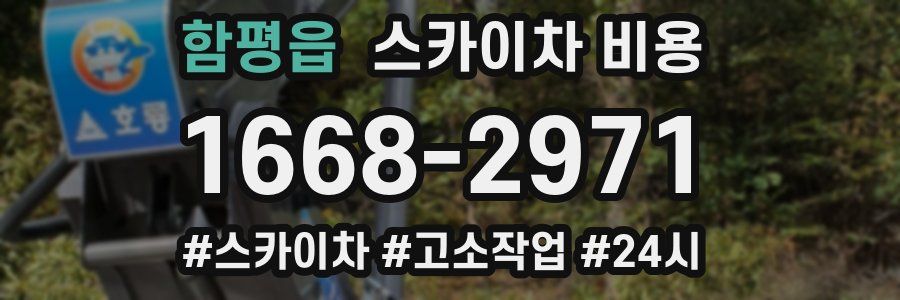 함평읍 스카이차 비용