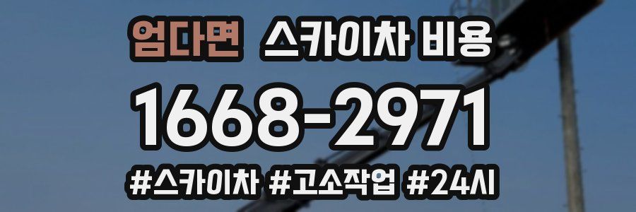 엄다면 스카이차 비용