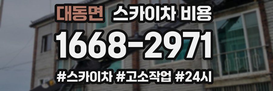 대동면 스카이차 비용