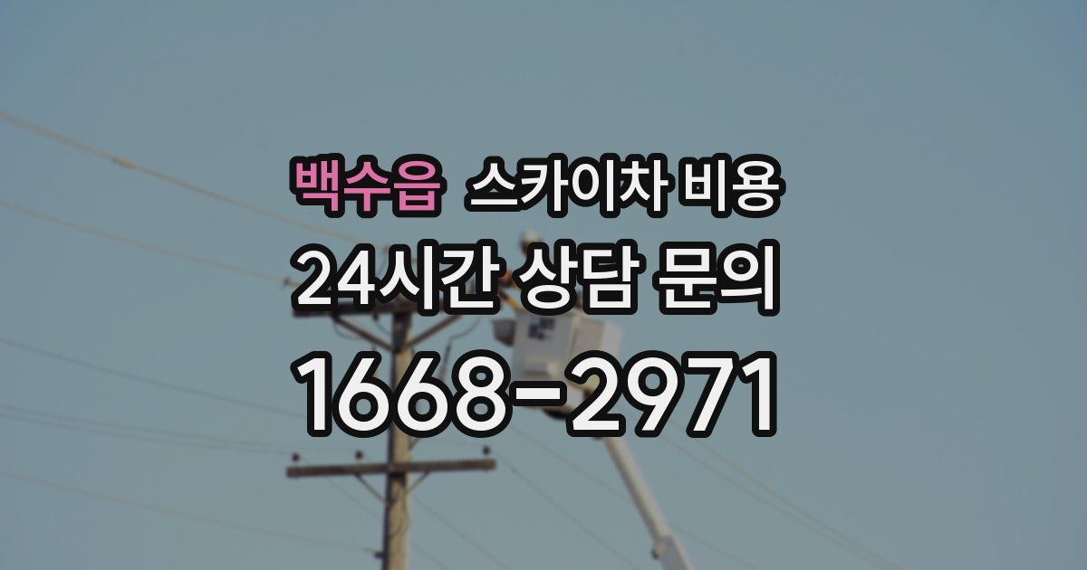 백수읍 스카이차 비용