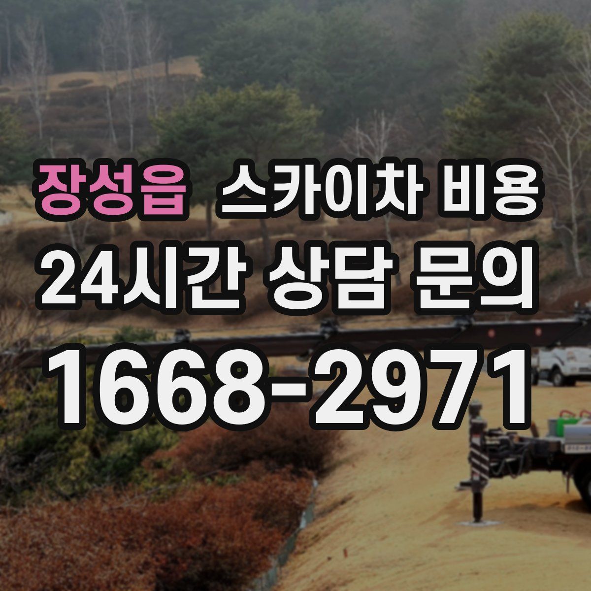 장성읍 스카이차 비용