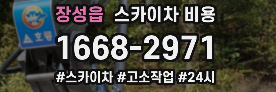 장성읍 스카이차 비용