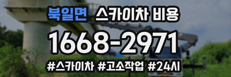 북일면 스카이차 비용