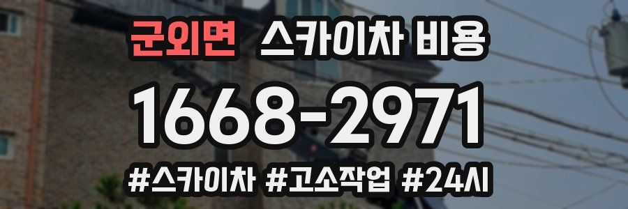 군외면 스카이차 비용