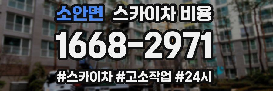 소안면 스카이차 비용