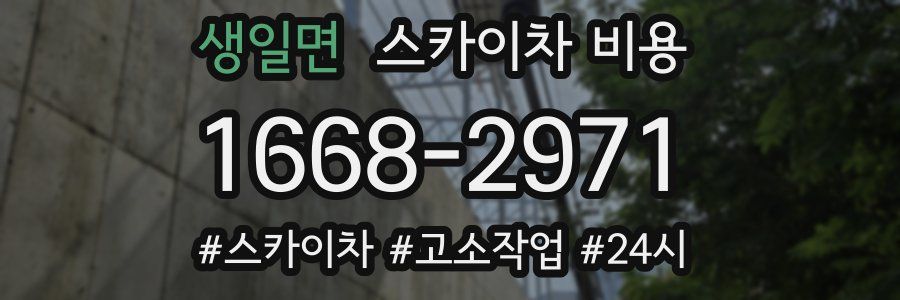 생일면 스카이차 비용