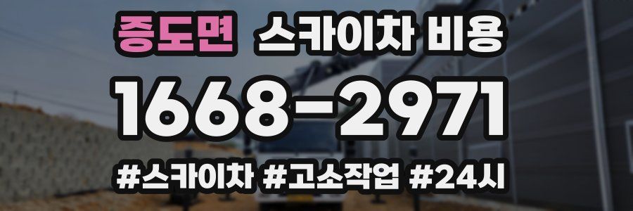 증도면 스카이차 비용