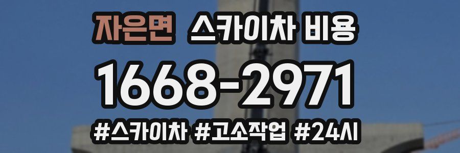 자은면 스카이차 비용