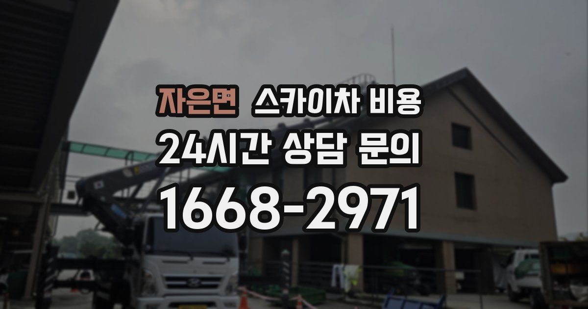 자은면 스카이차 비용