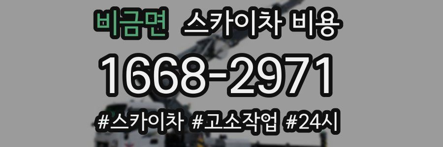 비금면 스카이차 비용