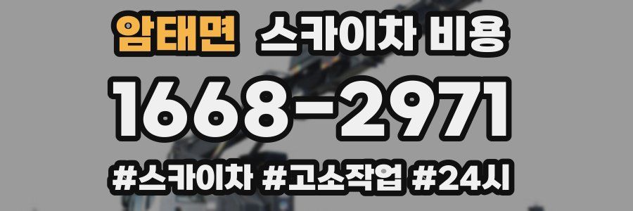 암태면 스카이차 비용