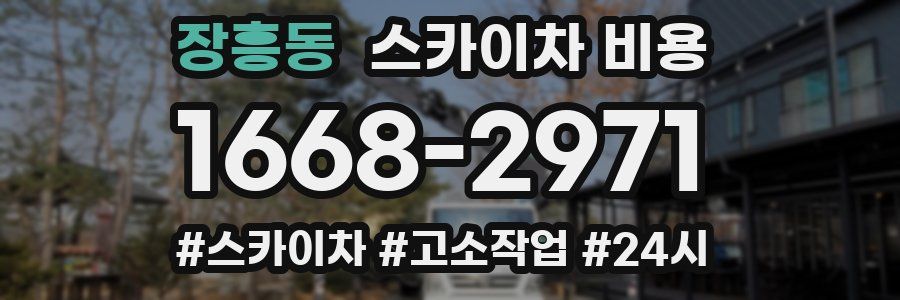장흥동 스카이차 비용