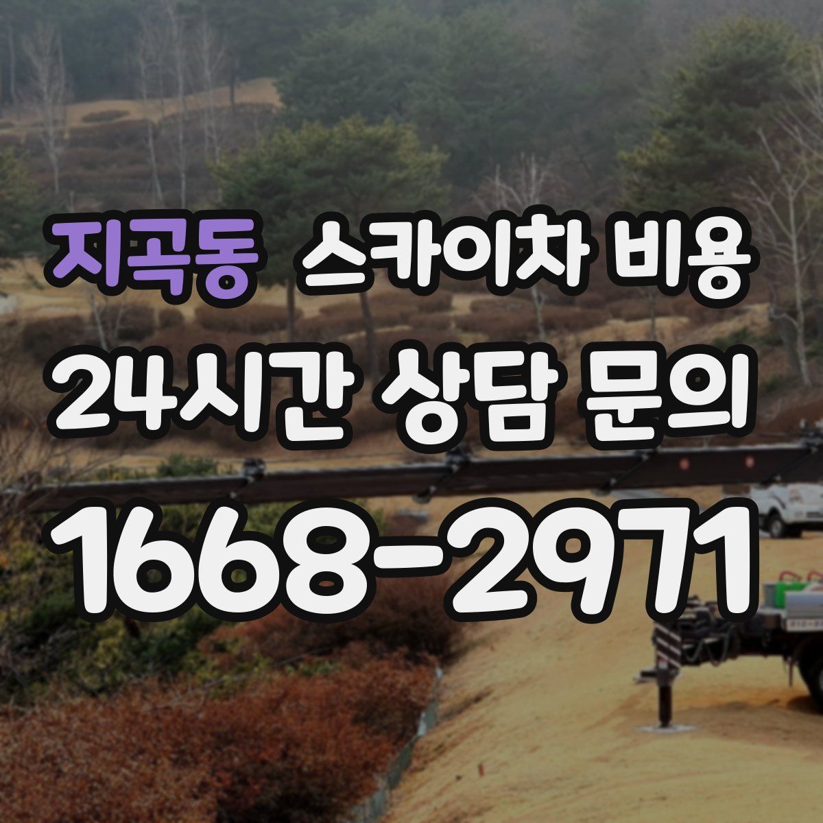 지곡동 스카이차 비용