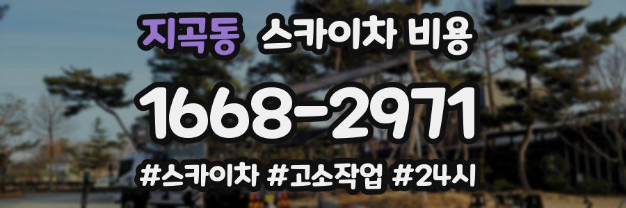 지곡동 스카이차 비용