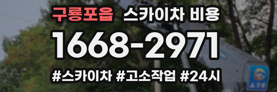 구룡포읍 스카이차 비용