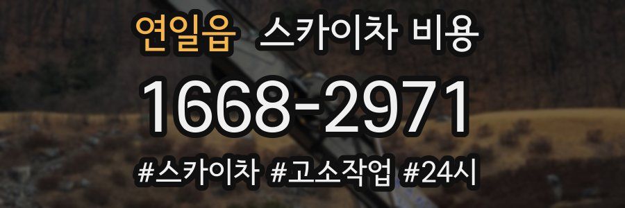 연일읍 스카이차 비용