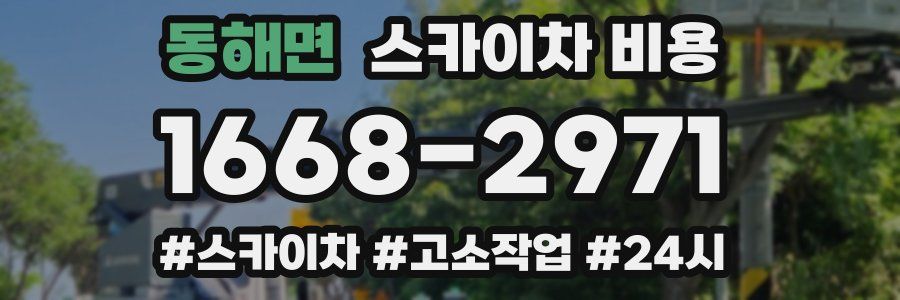 동해면 스카이차 비용