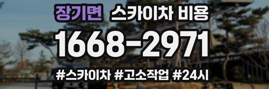 장기면 스카이차 비용