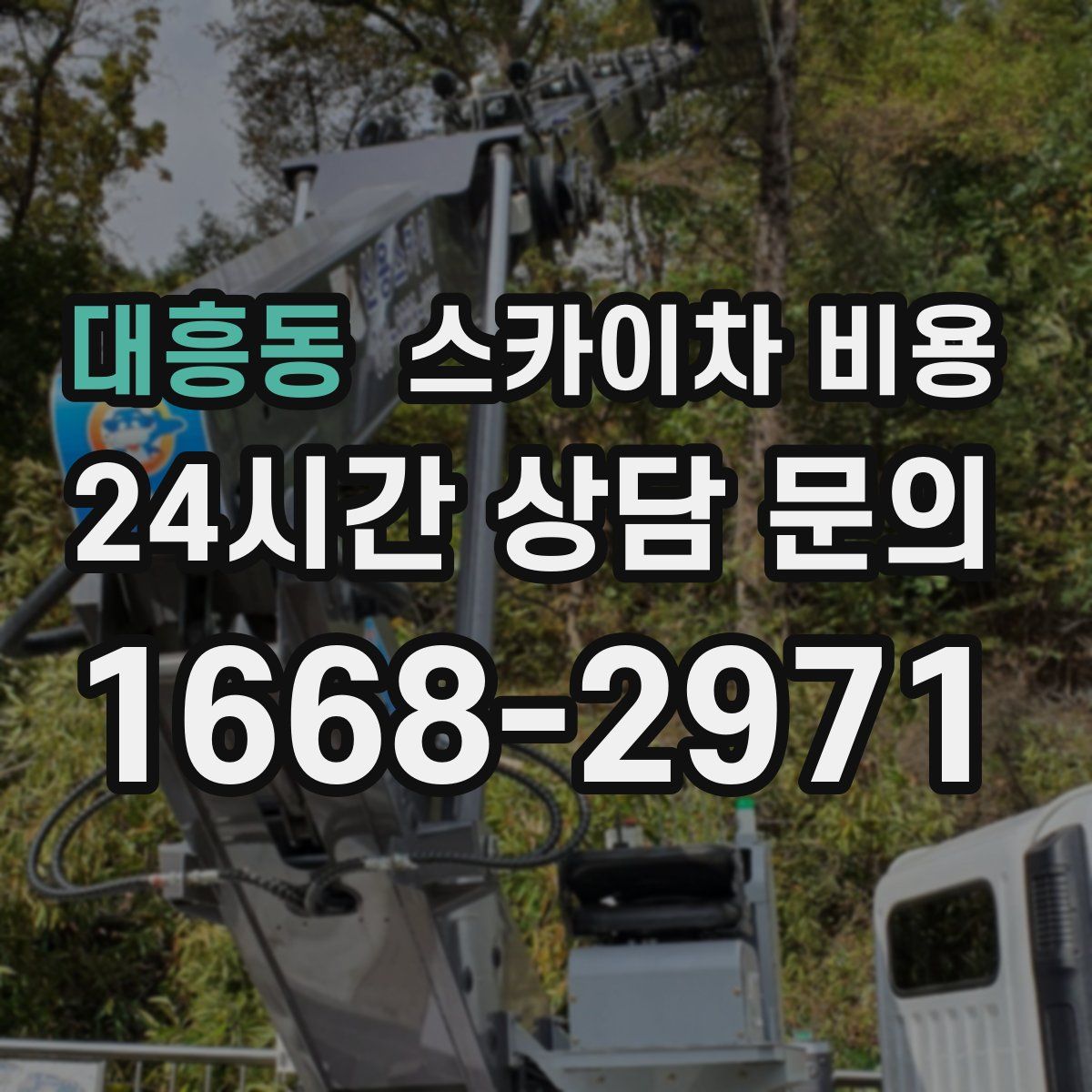 대흥동 스카이차 비용