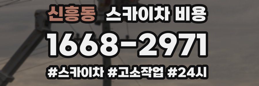 신흥동 스카이차 비용