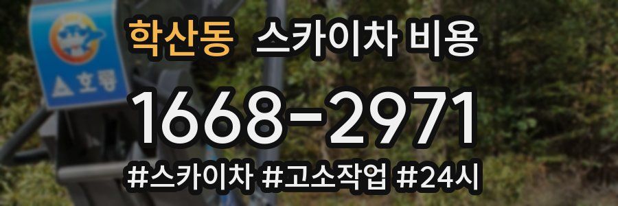 학산동 스카이차 비용