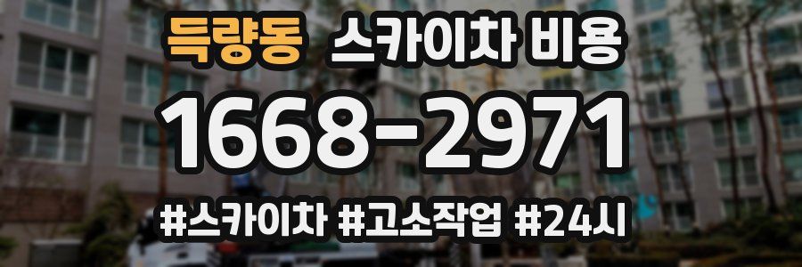 득량동 스카이차 비용