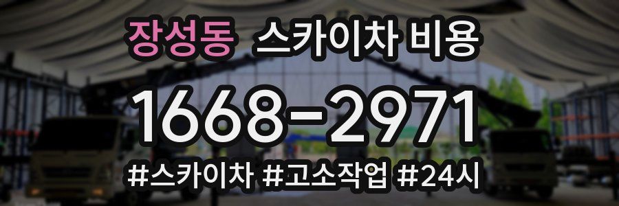 장성동 스카이차 비용
