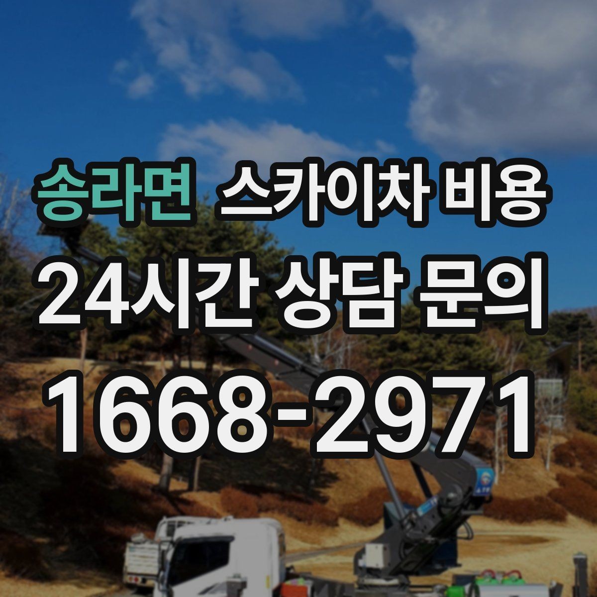 송라면 스카이차 비용 나무 가지치기 작업은 견적이 어떻게 나올까